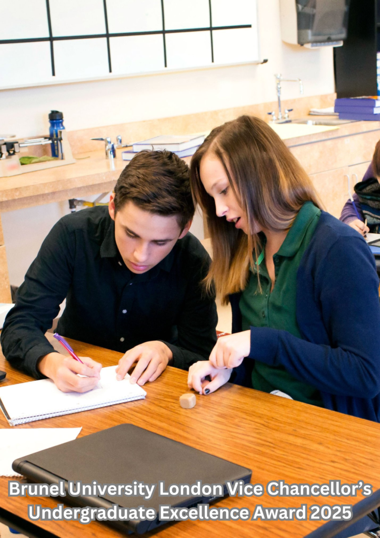 Brunel University London Vice Chancellor’s Undergraduate Excellence Award 2025