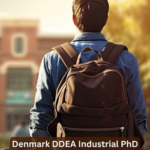 Denmark DDEA Industrial PhD Scholarships 2025 – Fully Funded for Global Researchers